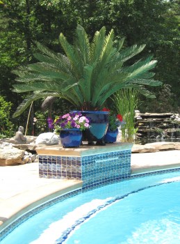 Outdoor Fake Palm Trees Sago Palm Pool Area